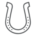 horseshoe