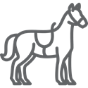 horse