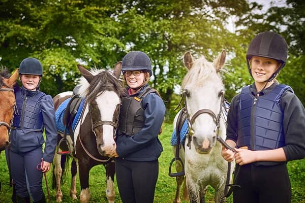 Transporting your horse
