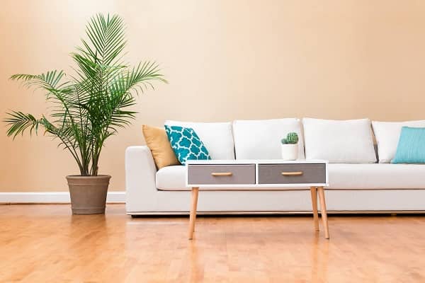 Couch in Office