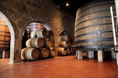 winery
