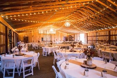 Wedding Reception